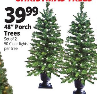 Ocean State Job Lot 48" porch trees offer