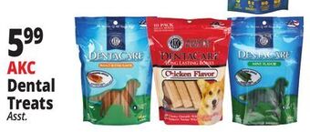 Ocean State Job Lot Akc dental treats offer