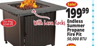 Ocean State Job Lot Endless summer propane fire pit offer