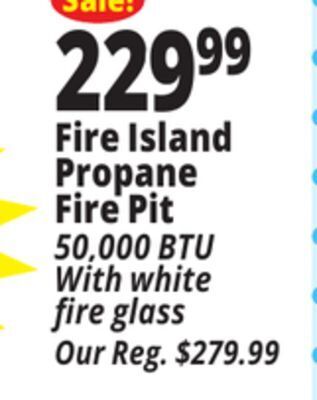 Ocean State Job Lot Fire island propane fire pit offer
