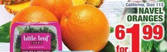 C Town Navel oranges offer