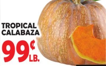 Bravo Supermarkets Tropical calabaza offer