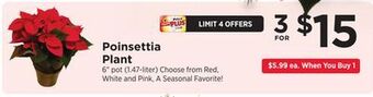 ShopRite Poinsettia plant offer
