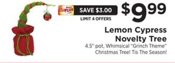 ShopRite Lemon cypress novelty tree offer