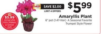 ShopRite Amaryllis plant offer