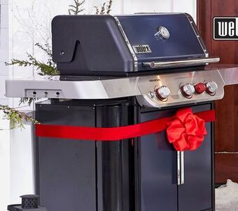 Ace Hardware Weber® genesis® sa-e-330™ gas grill offer