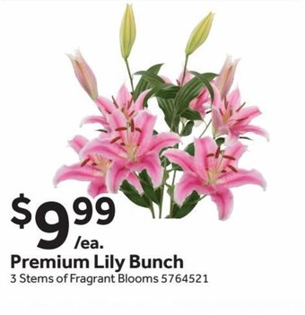 Stop&Shop Premium Lily Bunch offer