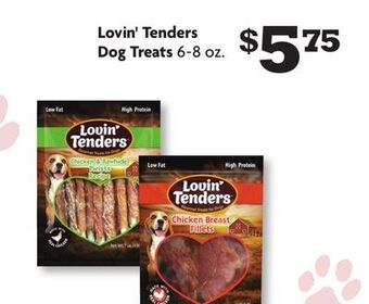 Family Dollar Lovin' tenders dog treats offer