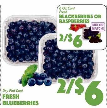 The Food Emporium Fresh blueberries offer