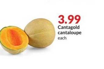Hy-Vee Cantagold cantaloupe offer