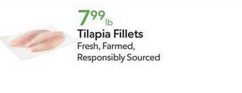 Publix Tilapia fillets offer