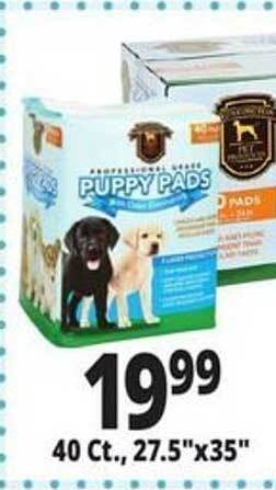 Ocean State Job Lot Puppy pads offer