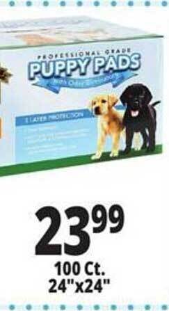 Ocean State Job Lot Puppy pads offer