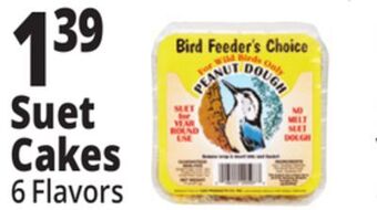Ocean State Job Lot Suet cakes offer