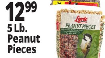 Ocean State Job Lot 5lb. peanut pieces offer