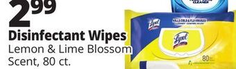Ocean State Job Lot Disinfectant wipes offer