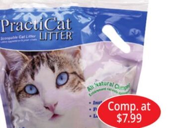 Ocean State Job Lot 15 lb. clumping litter offer