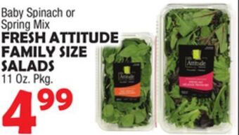 Bravo Supermarkets Fresh attitude family size salads offer