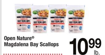 ACME Open nature® magdalena bay scallops offer