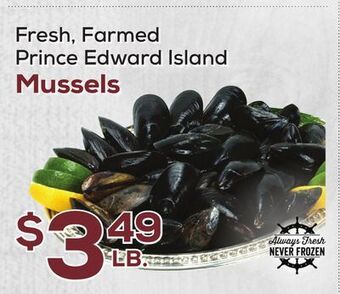 DeCicco & Sons Mussels offer