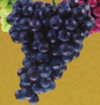 The Fresh Grocer Black seedless grapes offer