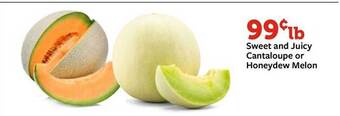 Fareway Sweet and juicy cantaloupe or honeydew melon offer