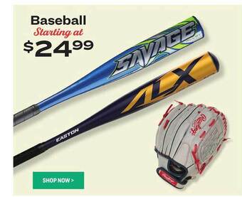 Academy Baseball offer