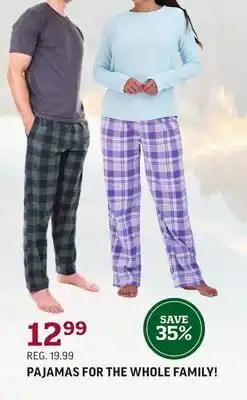 Pajamas for the whole family!