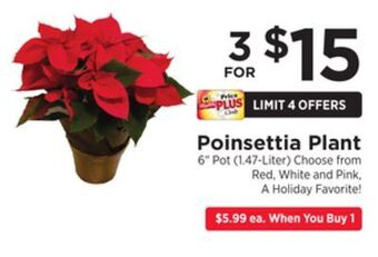 ShopRite Poinsettia plant offer