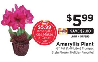 ShopRite Amaryllis plant offer