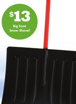 Family Dollar Big foot snow shovel offer
