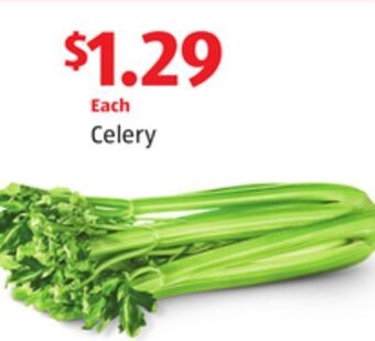 Aldi Celery offer
