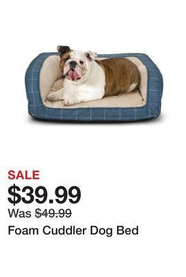 Tractor Supply Company Foam cuddler dog bed offer