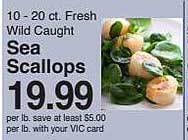 Harris Teeter Sea scallops offer