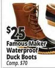 Ocean State Job Lot Famous maker waterproof duck boots offer