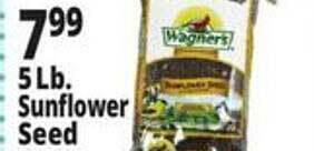 Ocean State Job Lot Sunflower seed offer
