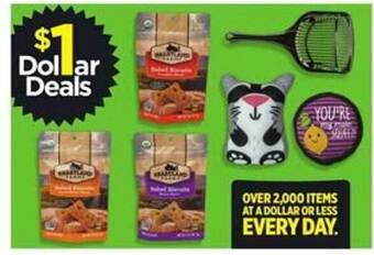 Dollar General Dollar or less every day offer