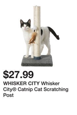 Petsmart Whisker city® catnip cat scratching post offer