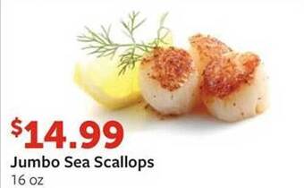 Fareway Jumbo sea scallops offer