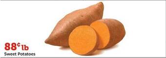 Fareway Sweet potatoes offer