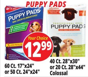 Ocean State Job Lot Puppy pads offer