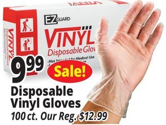 Ocean State Job Lot Disposable vinyl gloves offer