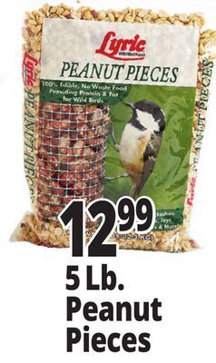 Ocean State Job Lot 5 lb. peanut pieces offer