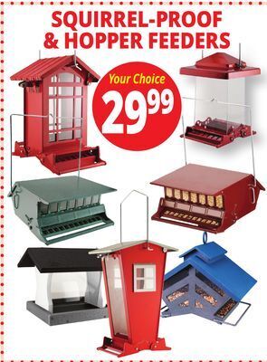 Ocean State Job Lot Squirrel-proof & hopper feeders offer