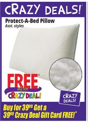 Ocean State Job Lot Protect-a-bed pillow offer