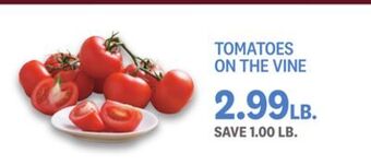 Kings Food Markets Tomatoes on the vine offer
