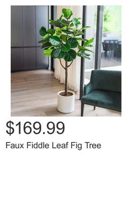 Costco Faux fiddle leaf fig tree offer