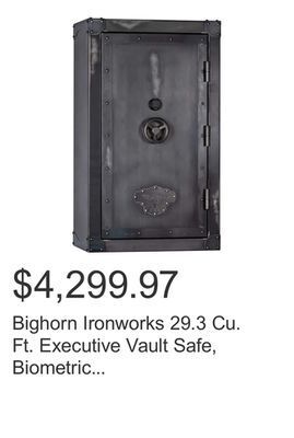 Costco Bighorn ironworks 29.3 cu. ft. executive vault safe, biometric lock, fire rated offer