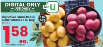 Albertsons Signature Farms Red or Gold Potatoes 5 Lb. bag offer