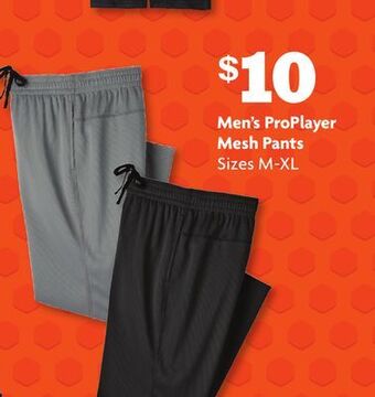 Family Dollar Men's proplayer mesh pants offer